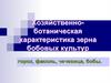 Хозяйственно-ботаническая характеристика зерна бобовых культур