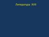 Литература 17 века