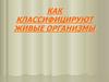 Как классифицируют живые организмы