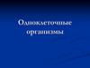 Одноклеточные организмы