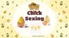 Chick Sexing