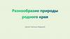 Разнообразие природы родного края