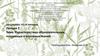 Характеристика образовательных, покровных и основных тканей