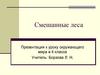 Смешанные леса