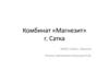Комбинат «Магнезит» г. Сатка