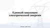Единый закупщик электрической энергии