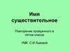 Имя существительное. Повторение пройденного в пятом классе