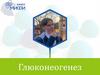 Глюконеогенез. Что такое глюконеогенез?