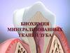 Биохимия минерализованных тканй зуба