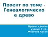 Генеалогическое древо. Проект