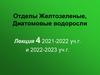Отделы Желто- зеленые, Диатомовые водоросли  (лекция 4)