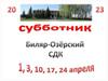 Субботник. Биляр-Озерский СДК