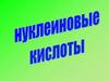 Нуклеиновые кислоты. РНК