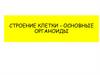 Строение клетки - основные органоиды