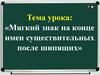 Мягкий знак на конце имен существительных после шипящих