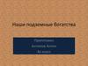 Наши подземные богатства