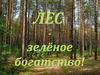 Лес - зелёное богатство