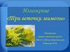Изложение «Три веточки мимозы»