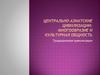 Центрально-азиатские цивилизации: многообразие и культурная общность