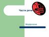 Части речи. Морфология