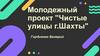Молодежный проект "Чистые улицы г. Шахты"