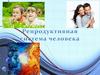 Репродуктивная система человека. Размножение