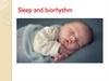 Sleep and biorhythm