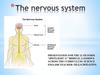 The nervous system