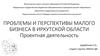 Проблемы и перспективы малого бизнеса в Иркутской области