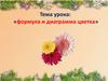 Формула и диаграмма цветка
