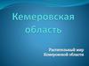 Кемеровская область