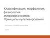 Классификация, морфология, физиология микроорганизмов. Принципы культивирования