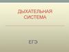 Дыхательная система. ЕГЭ