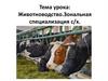 Животноводство. Зональная специализация сельского хозяйства