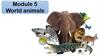 World animals. Module 5. Extensive Reading 5. Science. Insects
