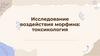 Исследование воздействия морфина: токсикология