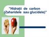 Hidrații de carbon (Zaharidele sau glucidele)
