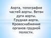 Аорта, топография частей аорты. Ветви дуги аорты