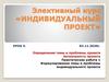 Индивидуальный проект. Элективный курс