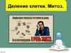 Деление клетки. Митоз