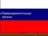 Правоохранительные органы