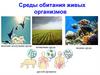 Среды обитания живых организмов наземно-воздушная. Среда почвенная среда