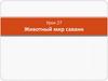 Животный мир саванн. Урок 27