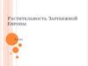 Растительность зарубежной Европы