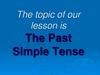 The Past Simple Tense