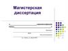 Магистерская диссертация