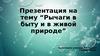 Рычаги в быту и в живой природе