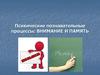 Психические познавательные процессы: внимание и память