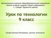 Предпринимательство как сфера профессиональной деятельности. Урок по технологии. 9 класс