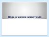 Вода в жизни животных